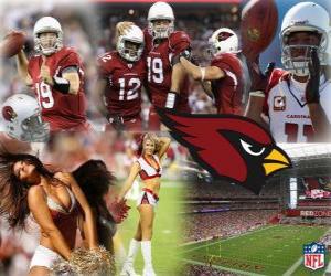 Układanka Arizona Cardinals