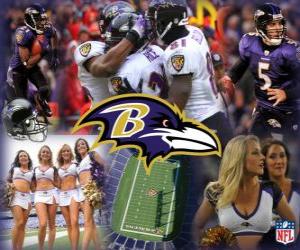 Układanka Baltimore Ravens