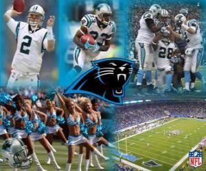 Układanka Carolina Panthers