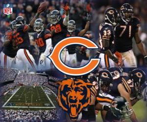 Układanka Chicago Bears