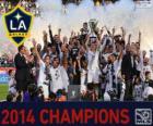 Los Angeles Galaxy, mistrz MLS 2014