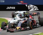 Carlos Sainz Jr, Grand Prix Japonii 2016