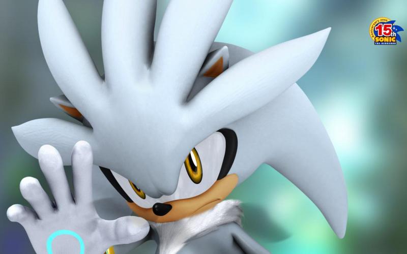 silver the hedgehog puzzle