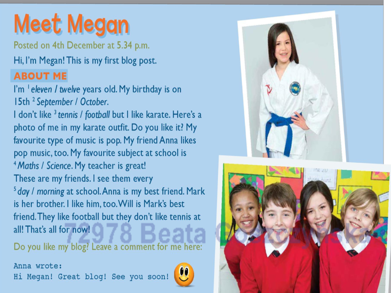 MEET MEGAN puzzle